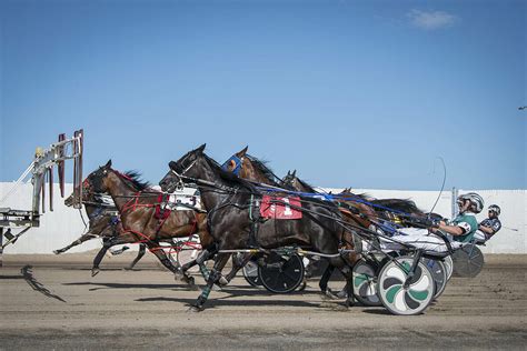 Century downs live racing On Sunday, April 1 st Century Downs Racetrack and Casino is opening its doors to its fourth live Standardbred Racing season with a post time of 1:15 p